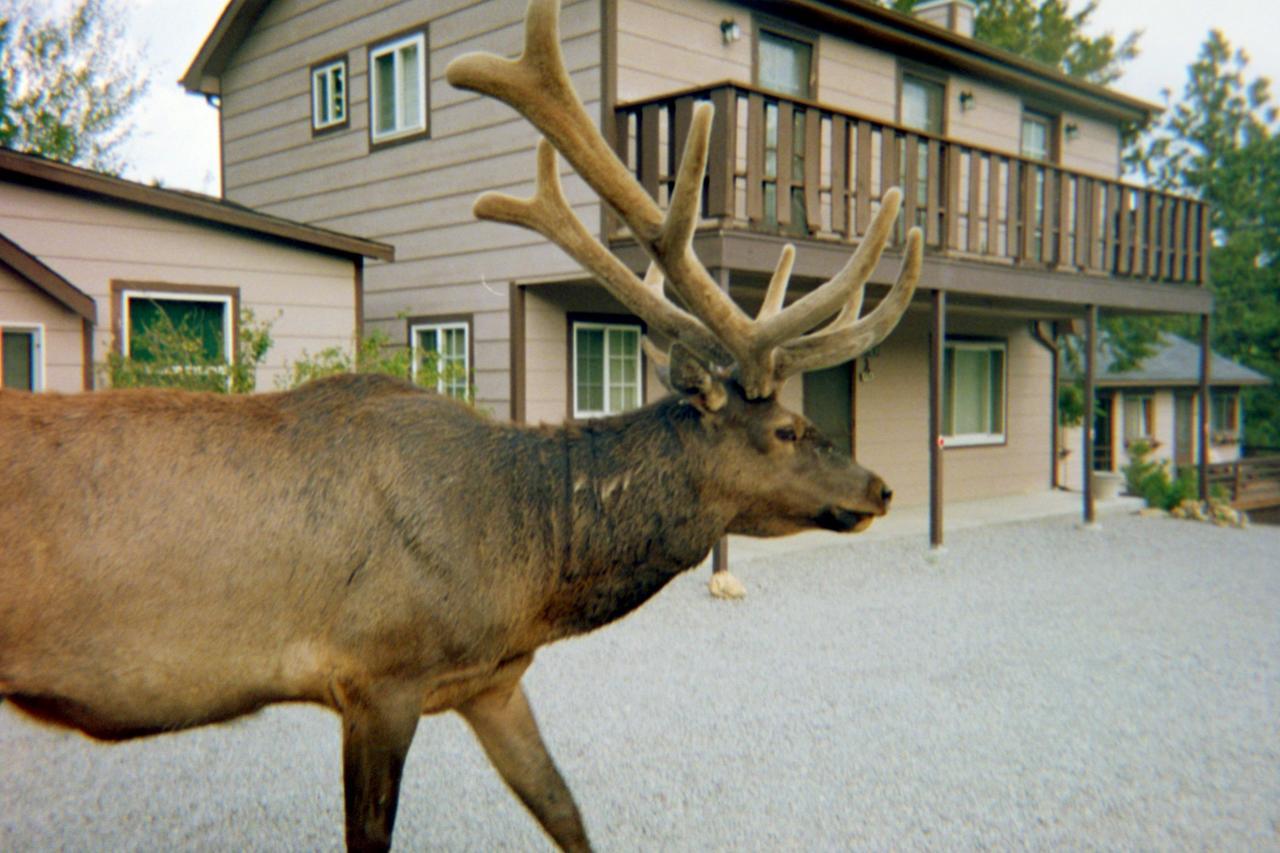 Skyline Cottages Estes Park Luaran gambar